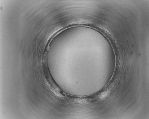 X0000058121073200510212014