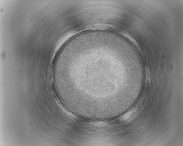 X0000058121075200510212014