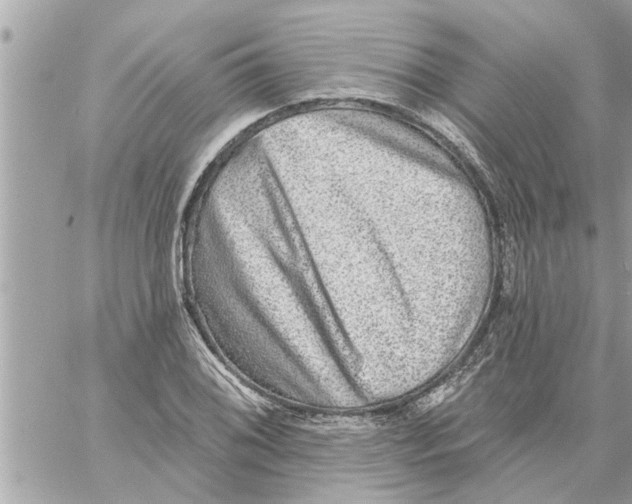 X0000058121076200510212014