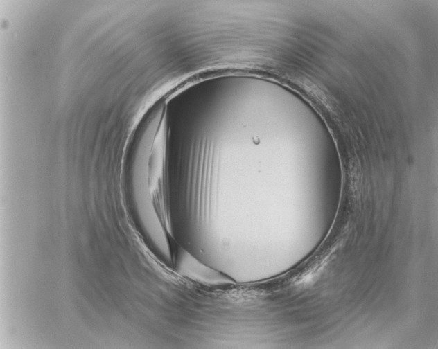 X0000058121077200510212014