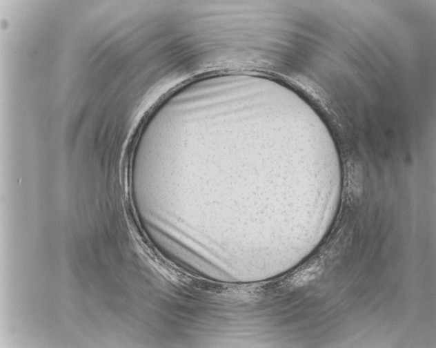 X0000058121078200510212014