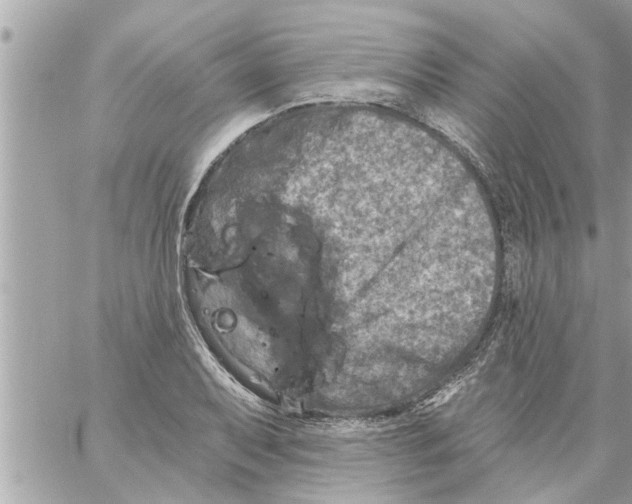 X0000058121079200510212014