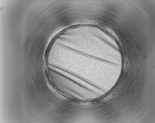 X0000058121080200510212014