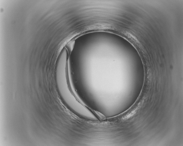 X0000058121081200510212014