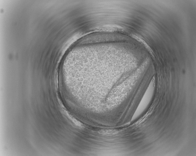 X0000058121083200510212014