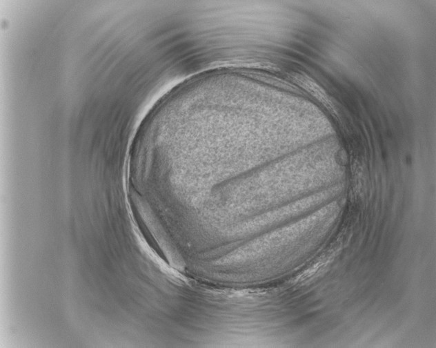 X0000058121084200510212014