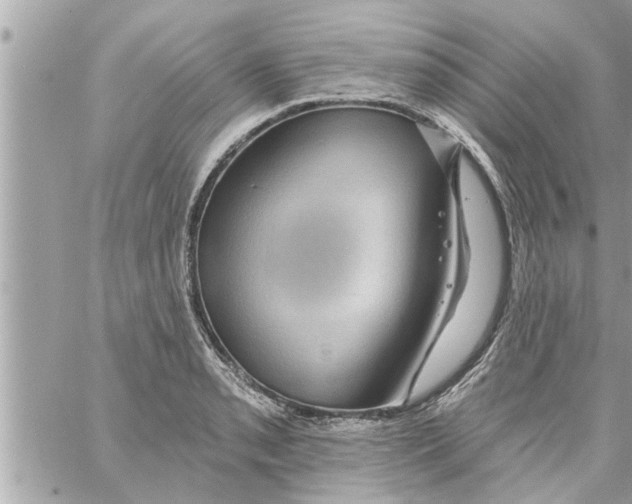 X0000058121085200510212014