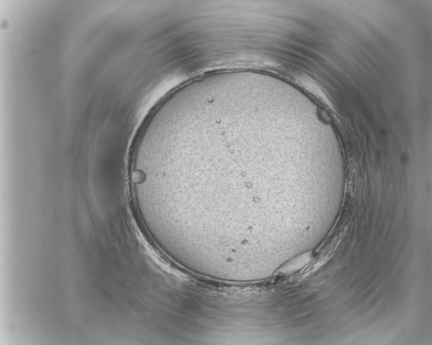 X0000058121087200510212014