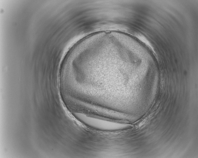 X0000058121088200510212014