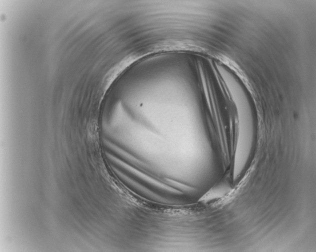 X0000058121089200510212014