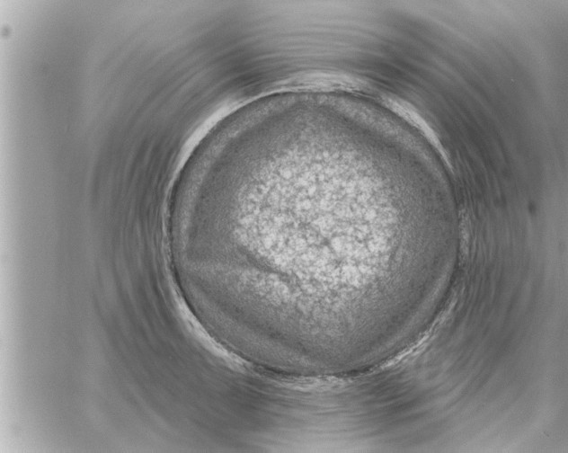 X0000058121091200510212014