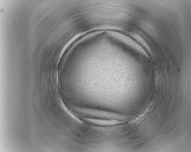 X0000058121092200510212014