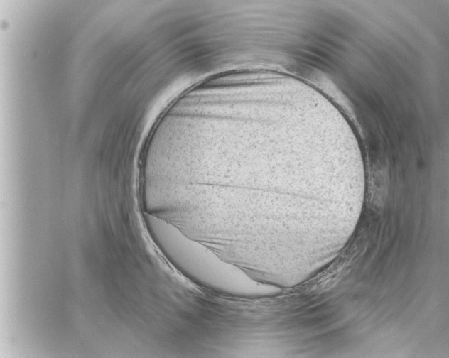 X0000058121096200510212014