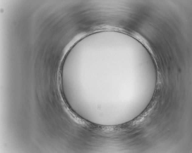 X0000058121098200510212014