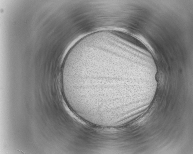 X0000058121100200510212014