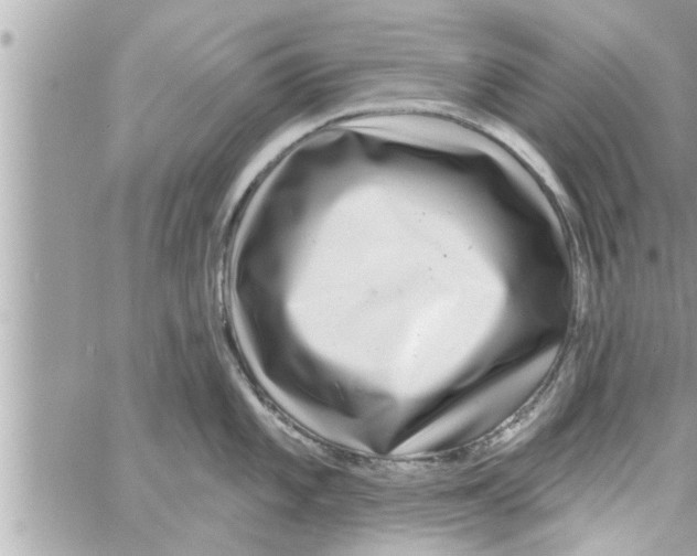 X0000058121101200510212014