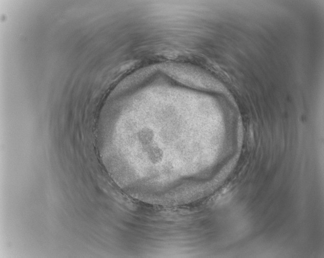 X0000058121105200510212013