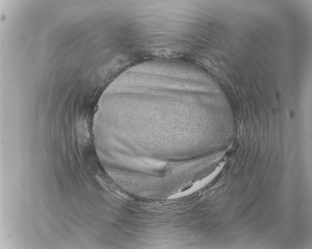 X0000058121106200510212013