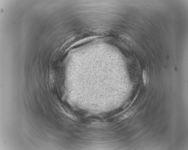 X0000058121107200510212013