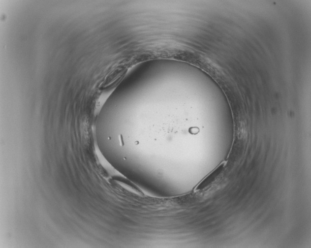 X0000058121108200510212013