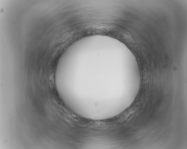 X0000058121109200510212013