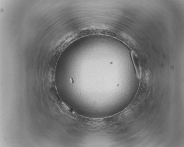 X0000058121110200510212013