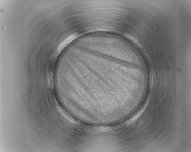 X0000058121113200510212013