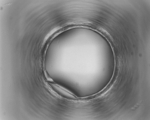 X0000058121114200510212013