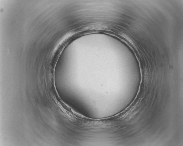 X0000058121115200510212013