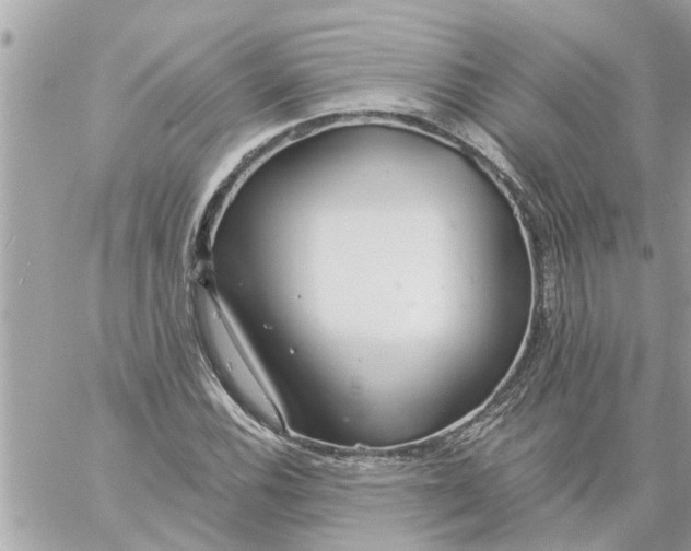 X0000058121116200510212013