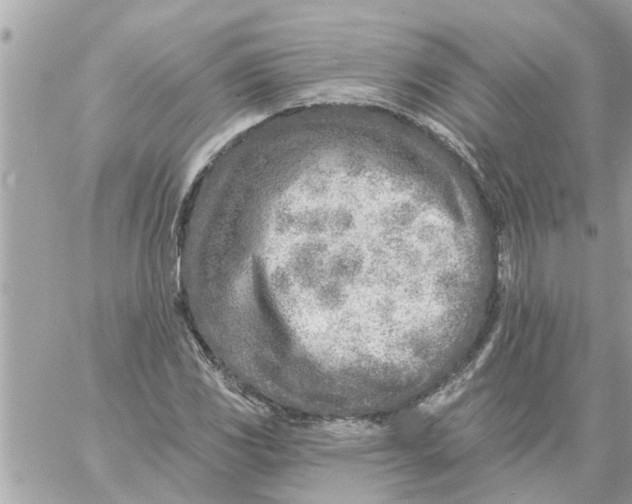 X0000058121117200510212013