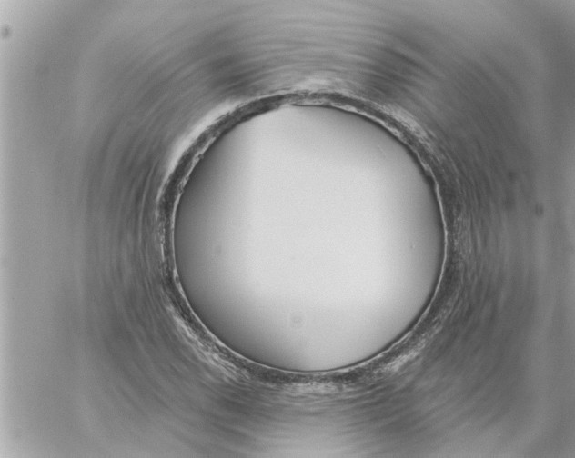 X0000058121118200510212013