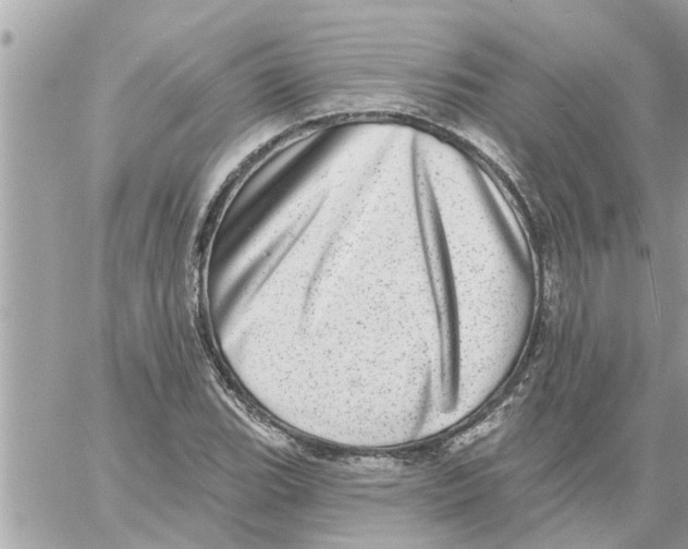 X0000058121119200510212013