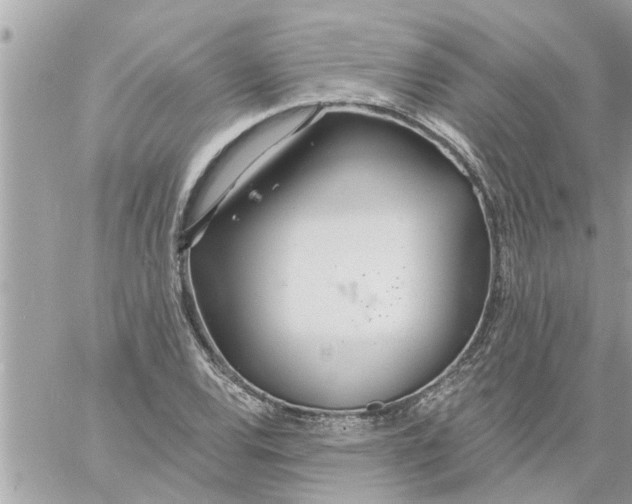 X0000058121120200510212013