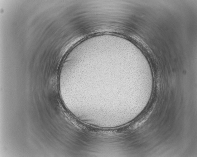 X0000058121121200510212013