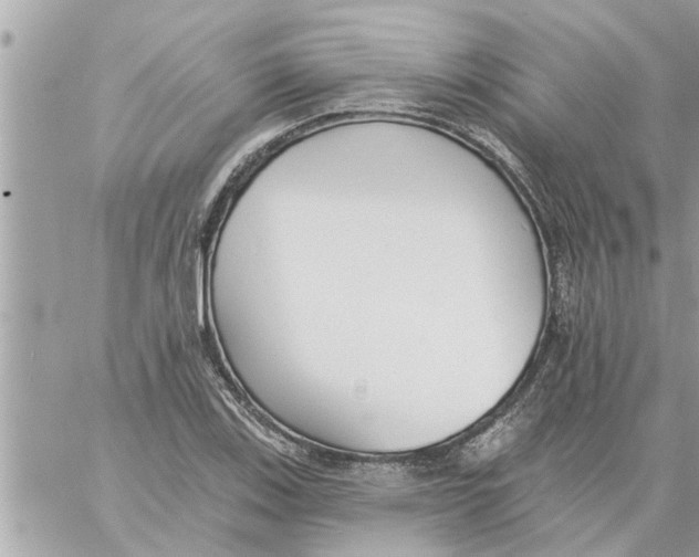 X0000058121123200510212013