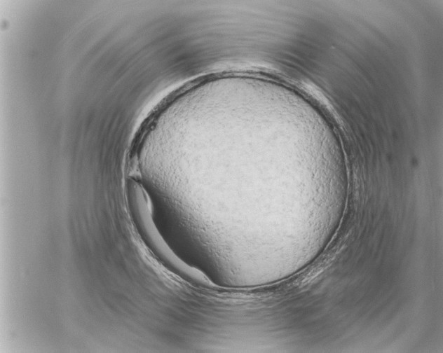 X0000058121124200510212013