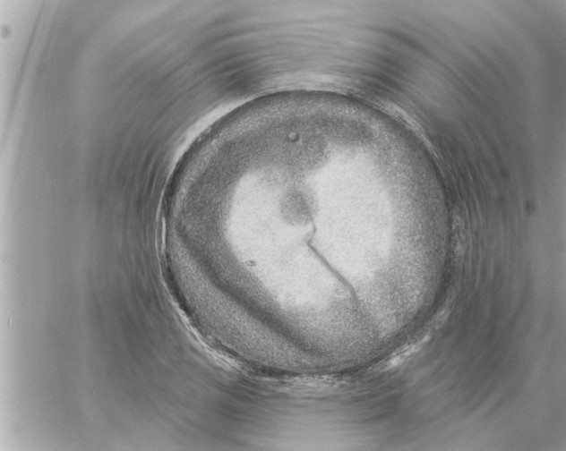 X0000058121125200510212013