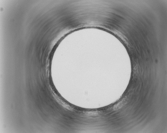 X0000058121126200510212013