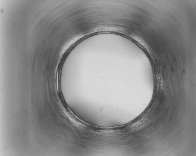 X0000058121127200510212013