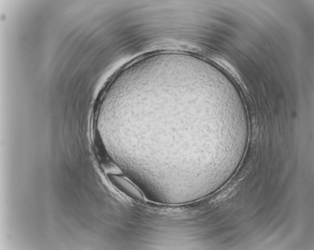 X0000058121128200510212013