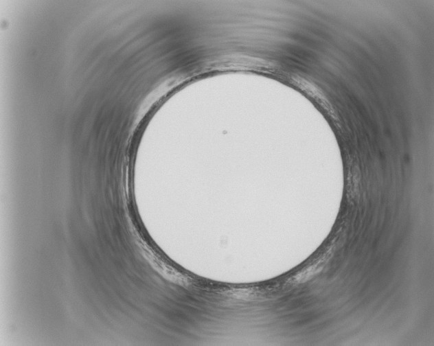 X0000058121130200510212013