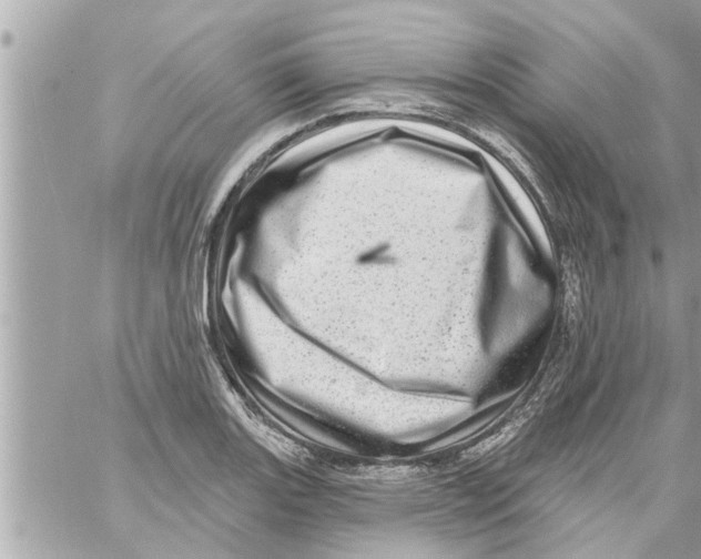 X0000058121131200510212014