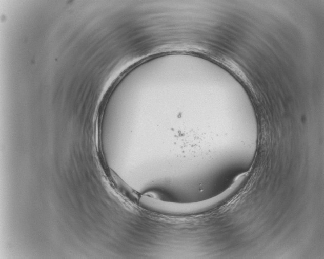 X0000058121132200510212014