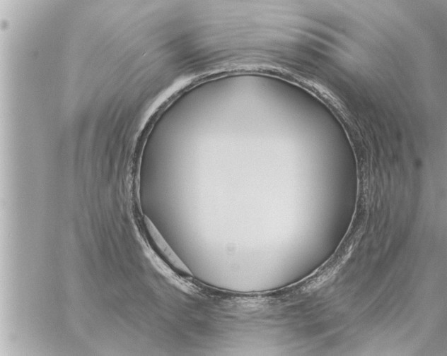 X0000058121134200510212014