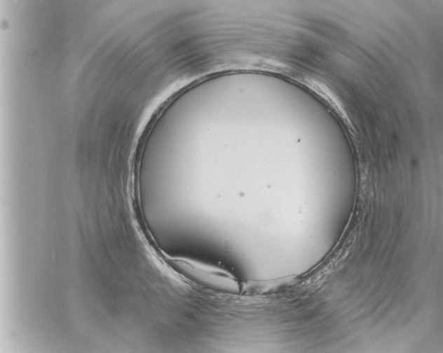 X0000058121136200510212014