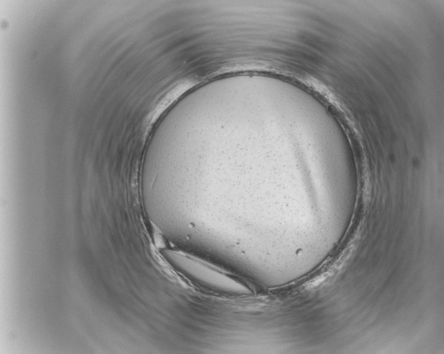 X0000058121137200510212014