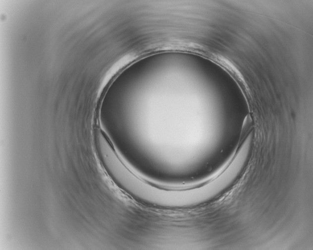 X0000058121138200510212014