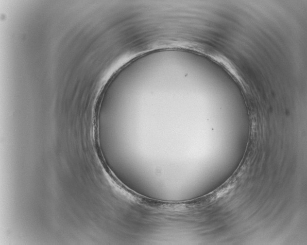 X0000058121143200510212014