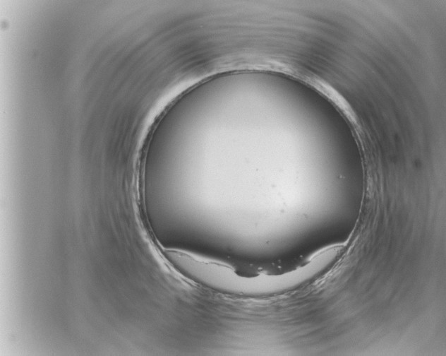 X0000058121144200510212014